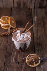 Cocoa with marshmallows, cinnamon and dried oranges