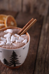 Cocoa with marshmallows, cinnamon and dried oranges