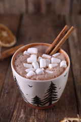 Cocoa with marshmallows, cinnamon and dried oranges