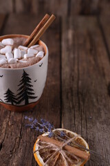 Cocoa with marshmallows, cinnamon and dried oranges