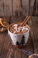 Cocoa with marshmallows, cinnamon and dried oranges