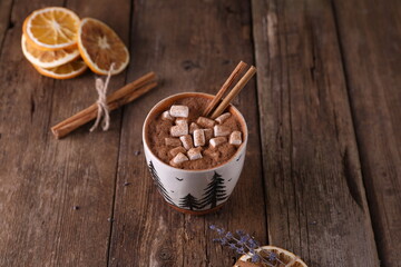 Cocoa with marshmallows, cinnamon and dried oranges