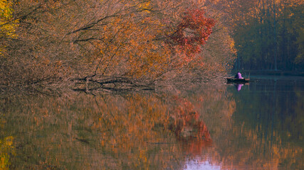 floodplain forest detail, november morning, as the fisherman is out with the boat at the edge of the forest