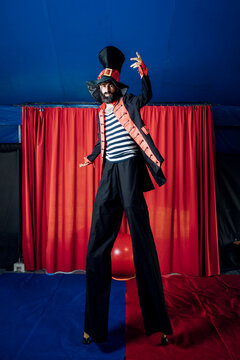 Male artist wearing stage costume performing with stilts in circus