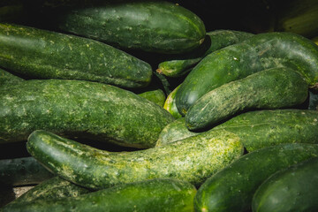 Cornichon