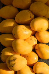 Yellow mango. Wild subtropical fruits textured. Healthy food