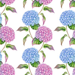 Watercolor floral seamless pattern. Hand painted pink and blue Hydrangea flowers with leaves isolated on white background. Flowering Hortensia vertical ornament. Floral design for wallpaper, fabrics