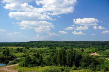 Fototapeta na wymiar Sunny day in July. Mid summer. View of the floodplain of the Berezina River. The forest gave the horizon. Landscape