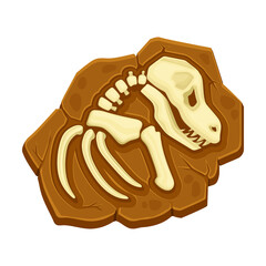 Dinosaur fossil bones. Ancient remains of dinosaur skeleton vector illustration