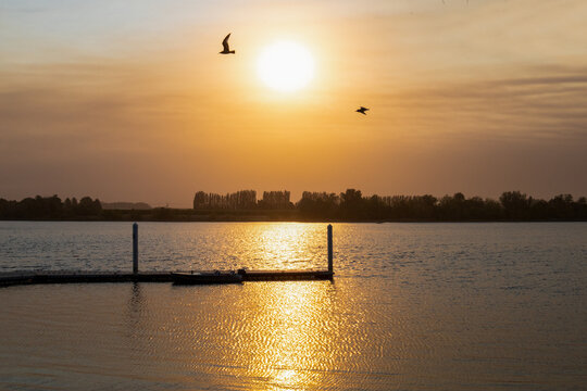 Birds Flying Across Hazy Sunrise