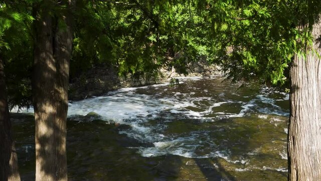 River water flowing, view between trees; Ocqueoc Falls River in Northwest Michigan after months of rain in late summer--late morning. 424
