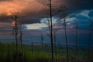 tramonto bosco fino a mare