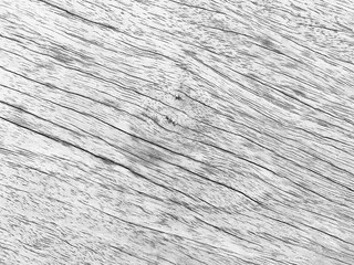 Old wood texture crack, gray-white tone. Use this for wallpaper or background image. There is a blank space for text..