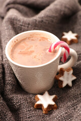 hot drink- milk, cacao and cookies