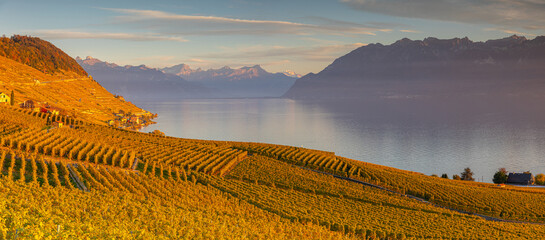 Région viticole du Lavaux dans le canton de Vaud en Suisse - 473579700