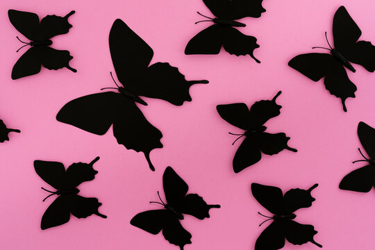 sagome di farfalle nere su fondo rosa