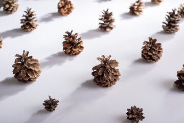 christmas minimalistic concept still life of pine cones on a white background