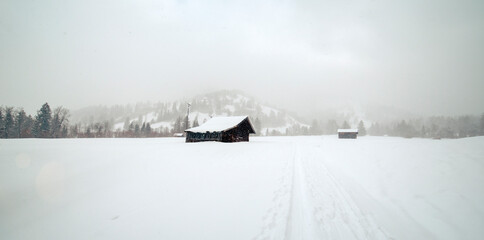Kalte und verschneite Winterlandschaft auf einer Alm mit Almhütten in den bayerischen Alpen an einem stürmischen Schneetag 