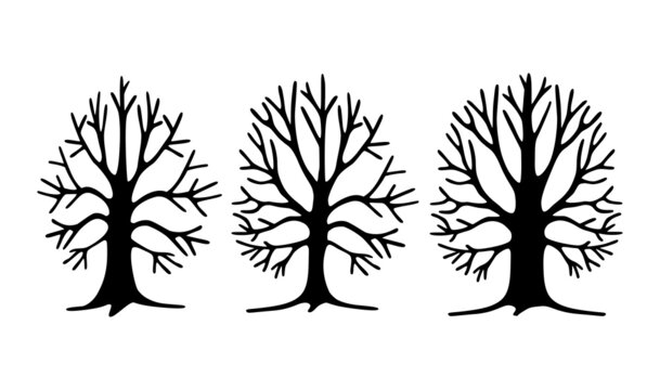 Set of 3 trees with branches without leaves and roots. Winter pattern. Silhouette drawing illustration.