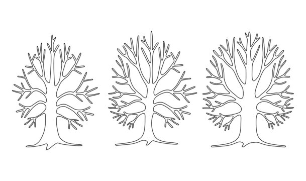 Set of 3 trees with branches without leaves and roots. Winter pattern. Linear drawing illustration.