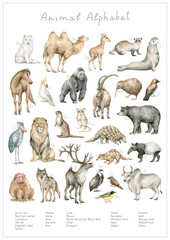 Fototapeta premium Watercolor animal alphabet. ABC poster for kids. English alphabet. Hand-painted educational set. Cute wild animals. Nursery wall art, poster. Animal world.