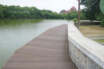 boardwalk on the edge of a mangrove swamp