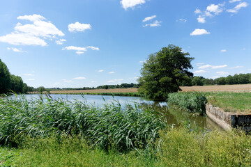 Pond in the Regional Natural Park of the Perche near Nogent-Le-Rotrou city