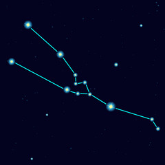 Obraz na płótnie Canvas Vector starry sky with constellation taurus 