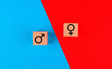 Gender signs on wooden cubes on a blue and red background. Gender stereotypes, gender colors,...