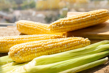 Corn close up