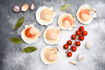 Fresh scallop, on gray stone table background, top view flat lay