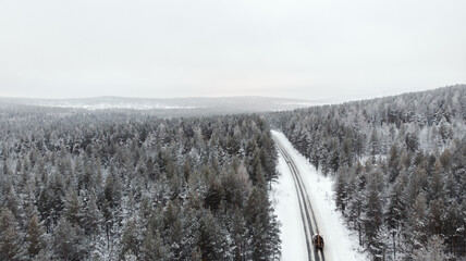 Natural background. Winter nature with the landscape of a Russian forest covered with snow from the height of a drone flight.