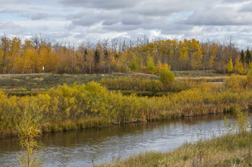 Pylypow Wetlands on a Cloudy Autumn Day