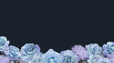 Floral banner, header with copy space. Blue roses isolated on dark background. Natural flowers wallpaper or greeting card.