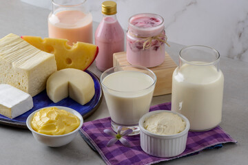 Dairy products. Milk and derivatives.