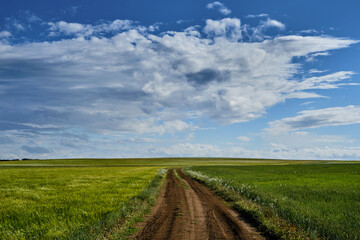 Fototapeta na wymiar Dirt road in the green fields
