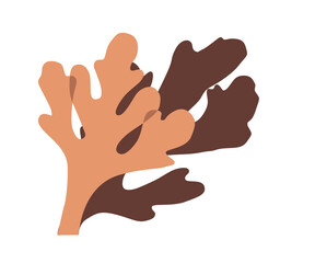 Silhouettes of brown algae on a white background