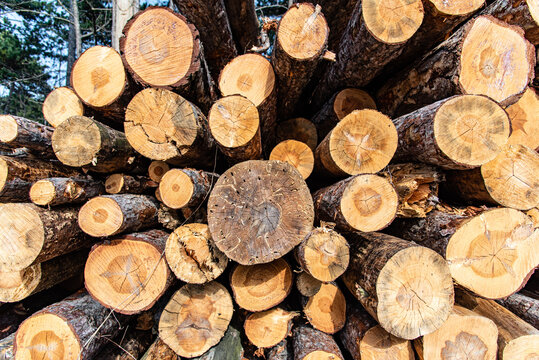 รูปภาพVorne – เลือกดูภาพถ่ายสต็อก เวกเตอร์ และวิดีโอ7,163 | Adobe Stock