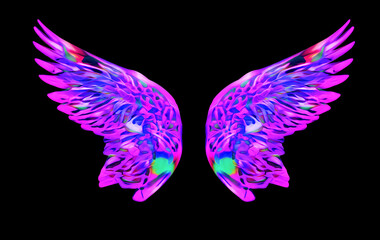 Artistically drawn, bright wings on isolated background