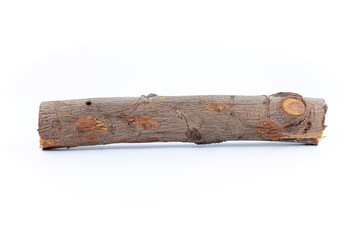 Piece of branch and/or wooden trunk.