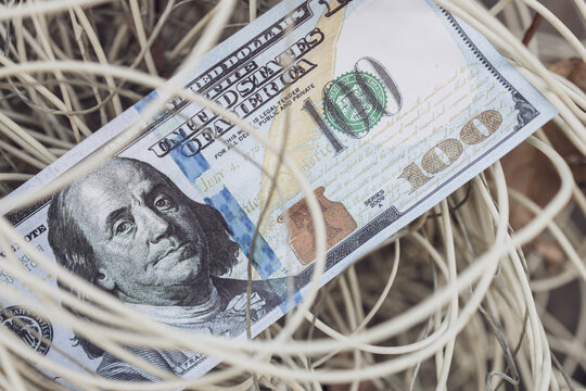 dollar and a plexus of white shavings. the intricacies of finance