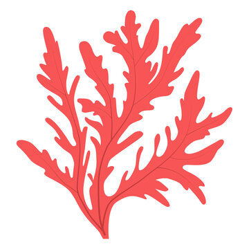 Pink and red mosrky algae for aquarium, marine theme, logo