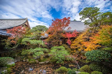 Tuinposter 京都　 永観堂の紅葉 © スプやん