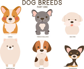 Obraz na płótnie Canvas Vector set of six small dog breeds: Corgi, French Bulldog, Maltese, Pomeranian, Beagle and Chihuahua.