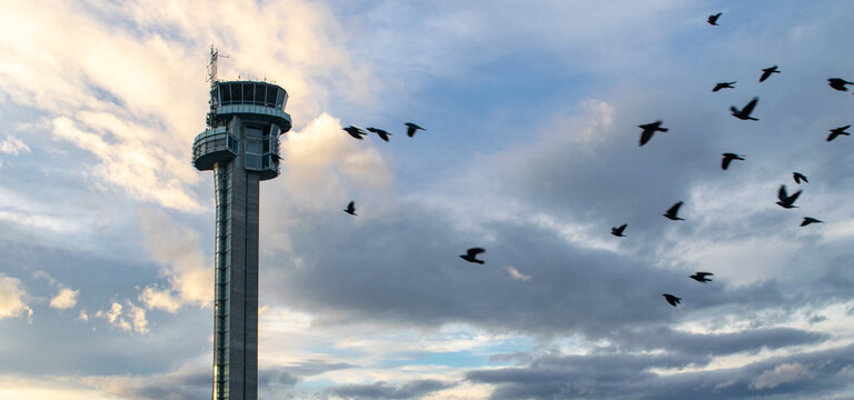 Air Traffic Control Tower at Airport and Birds Flying with Clouds in Background at Sunset
