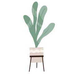 Foliage houseplant in pot. Green leaf house plant growing in flowerpot. Home decor with fresh leaves. Trendy interior decoration. Flat illustration isolated on white background