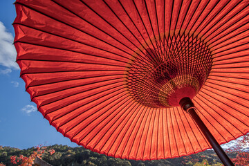 京都　 永観堂の紅葉