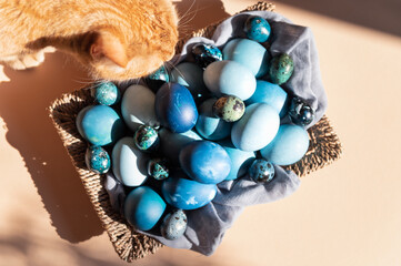 Homemade naturally dyed eggs in blue colors