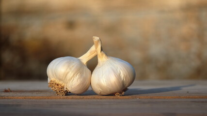 Aglio bianco. Garlic