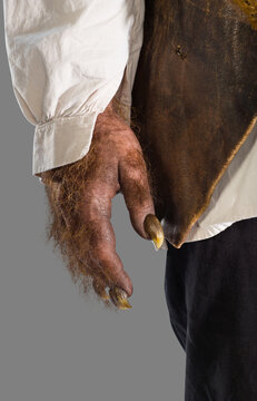 Closeup on a hand claw of a Werewolf Wolfman against gray background
